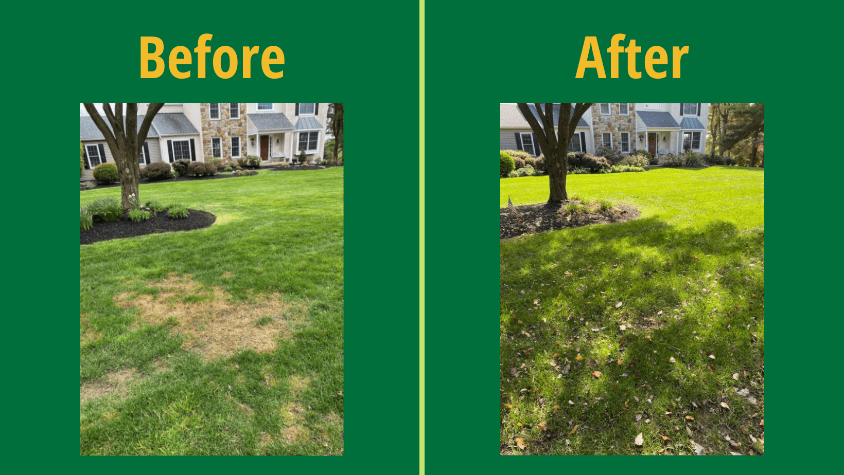 Lawn Care Services in Cherry Hill Weed Man